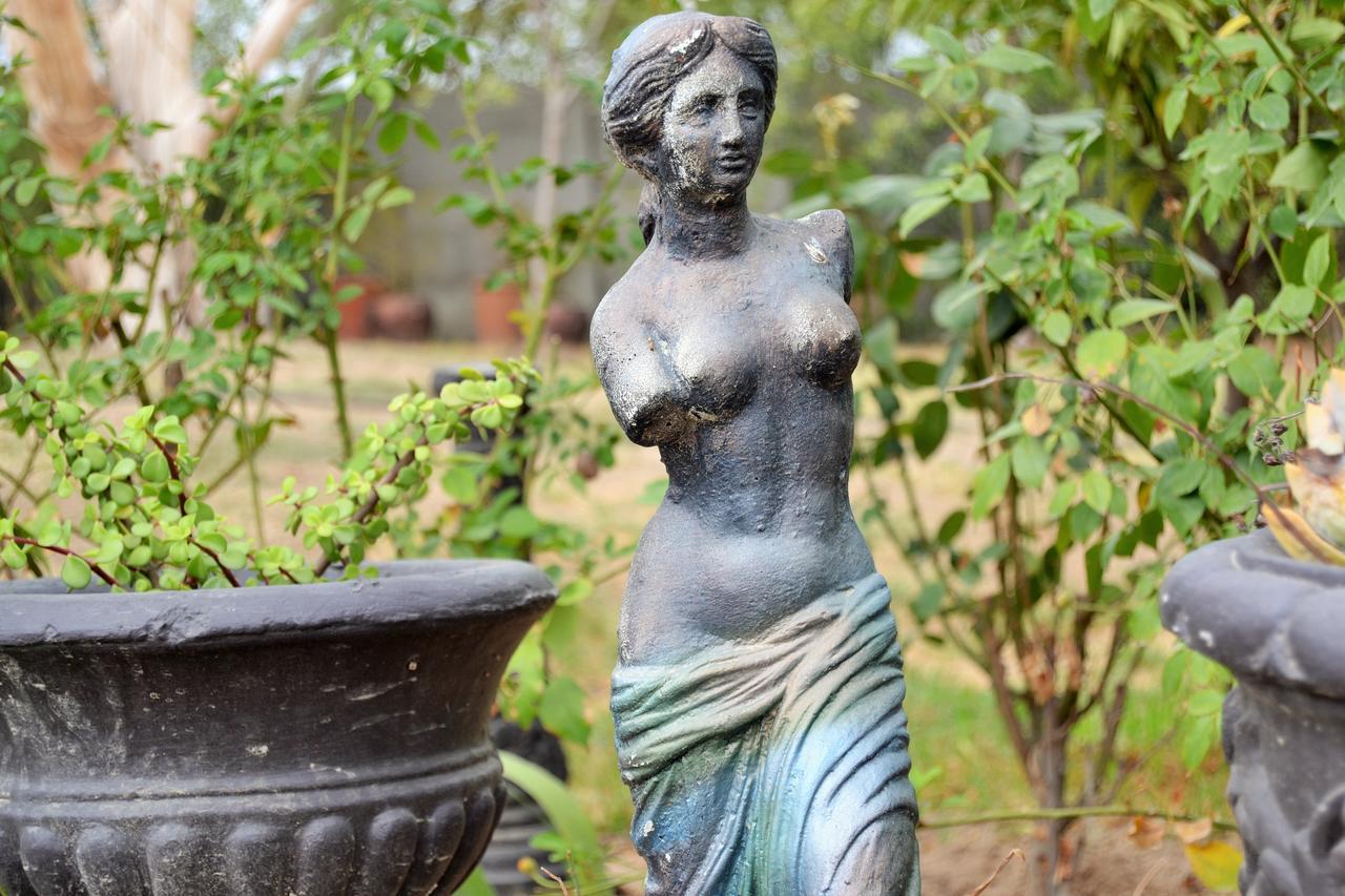 Versailles Self-Catering ウェリントン エクステリア 写真